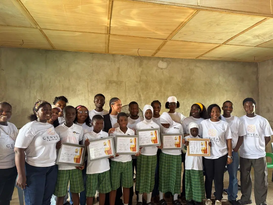 Sonne Scholarship Mentorship Support